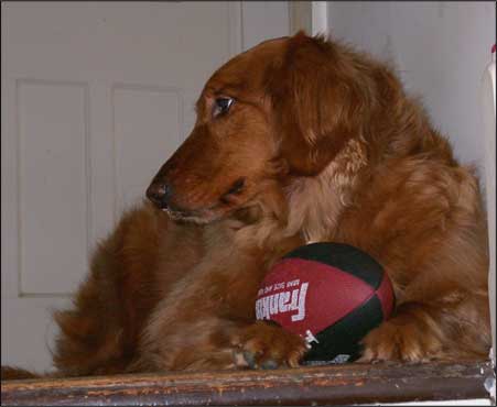 ginger guarding her football